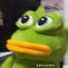 duccduqqq