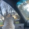 brydie_fleming_