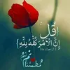 ariyadjouda
