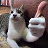 natasha.rimes
