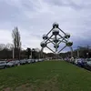 dzdz.bruxelles