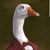 fancy_goose