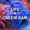 cheeni_km