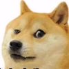 luckyrain69