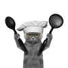 moewmoewcatcat