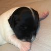 getintoitllol