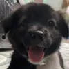 panda2712.com