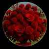 kamran.jutt5919