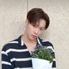 쨔오