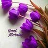 yousafsabir8