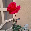 abidakhan874