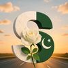 saraiki__shahzada770
