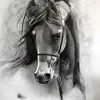 el.oujdi02