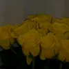 بـائعــة الــورد