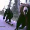 doug.ie2