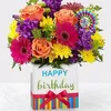 ayanmohamed74