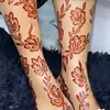 maanqas3