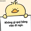 pe_dzjt