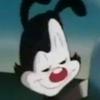 yakko.w.a