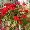 username_32.32