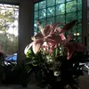 5iuytw
