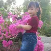user394430892