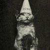 wickedcat_303