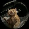 farouk_218