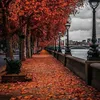 پایز🍁🍂