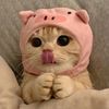 shaima.t4
