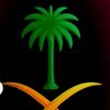 انا الكفو