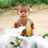 dvc83868386