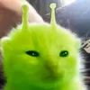 ka4kvs11