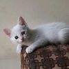 m.ibrahim.786