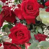 linh_1296phattai
