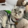dung.nguyen.32