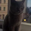 fxtma55