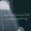 haqqani113