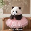 shopmitt6