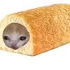 sadtwinkicat