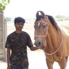 dasadipak
