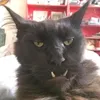 somebodyswatchingme2000