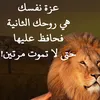 user2400526906645