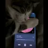pati2trappy_