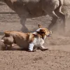 begoodplz
