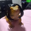 idkjbug