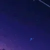 dany_15233