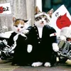 hiroshi.ohitoyoshi
