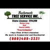 bustamantetreeservice