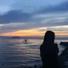 ariawolfie0